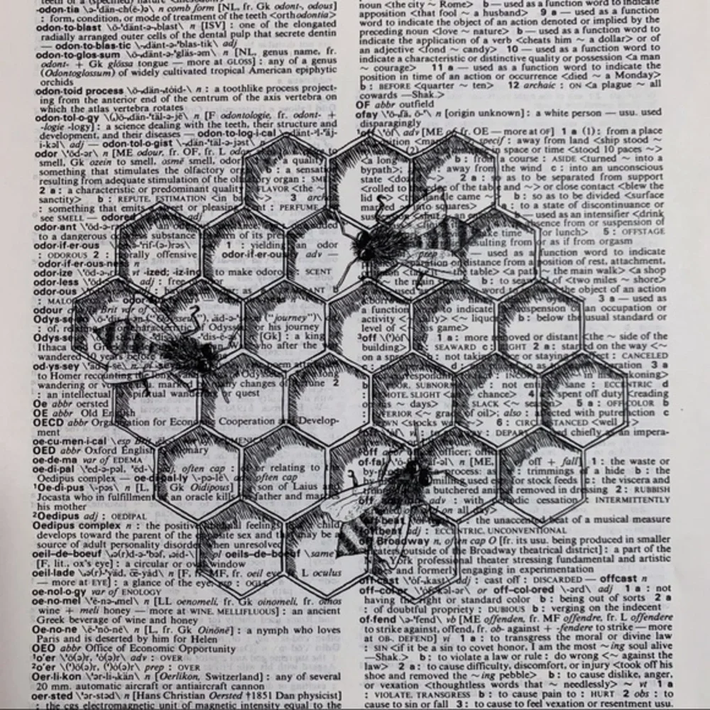 Dictionary Art Print Honeybee and Honeycomb Honey Bee,  Vintage Art Print